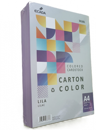 Carton A4 250 coli/top 160 g/mp Ecada [2]