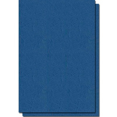 Carton A4 color - Carton A4 Imitatie piele 100 coli/top 250g/mp