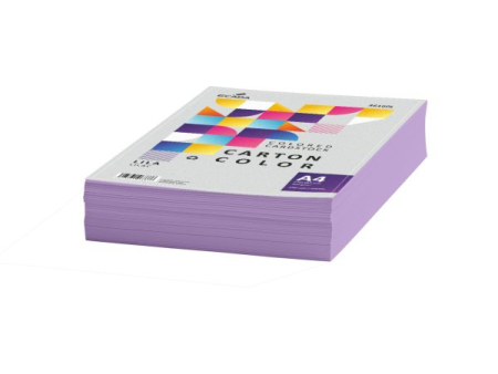 Carton A4 color - Carton color 160g/mp A4 250 coli ECADA Lila