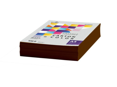 Carton A4 color - Carton color 160g/mp A4 250 coli ECADA maro
