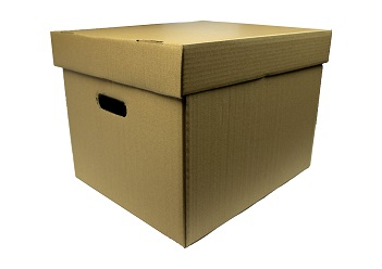 Cutii si containere de arhivare - Contaiener arhivare bibliorafturi 400x335x290 capac detasabil EG4F14