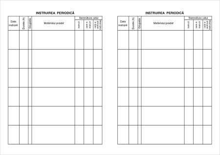 Fisa SSM Protectia Muncii 2026 N [2]