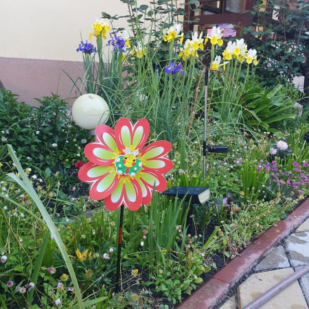 Scoala si gradinita - Morisca pentru vant, floare