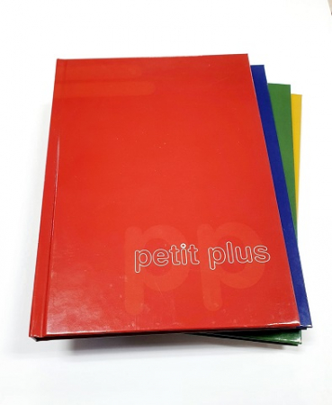 Hartie si produse din hartie - Repertoar A4 96 file EDUCA dictando