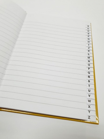 Repertoar A5 96 file EDUCA dictando [1]