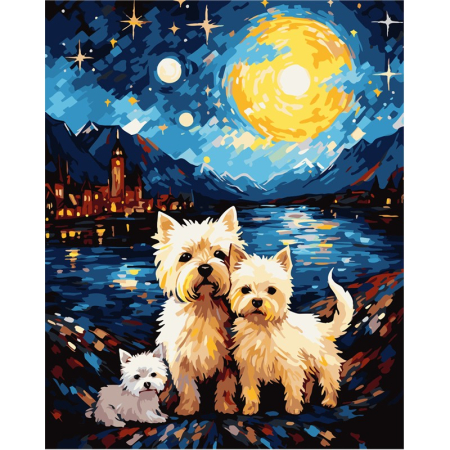 Panza de pictura - Set Pictura Numere 40x50cm CATEI