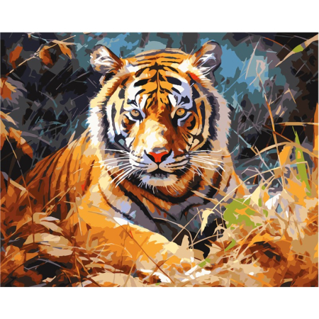 Panza de pictura - Set Pictura Numere 40x50cm TIGRU