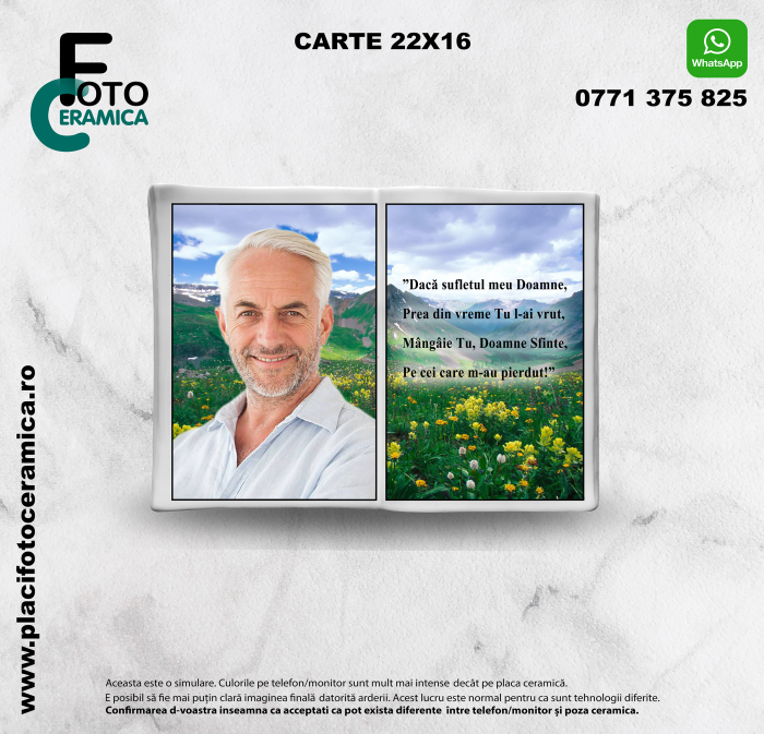 carte mare placifotoceramica [2]