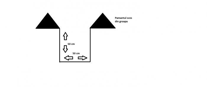 Nuc Pecan (Carya illinoensis) , 150-180 cm , 3 ani , radacina libera [2]