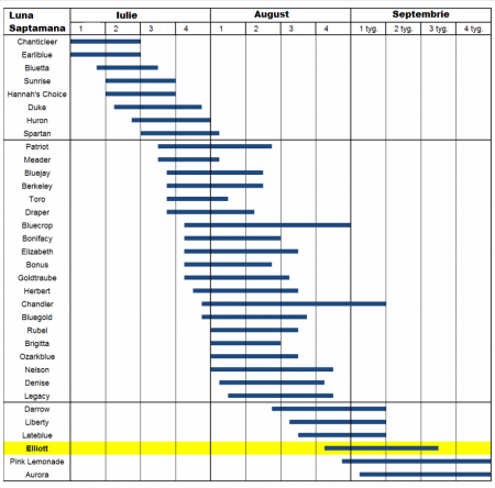 Afin de cultura Elliot [1]