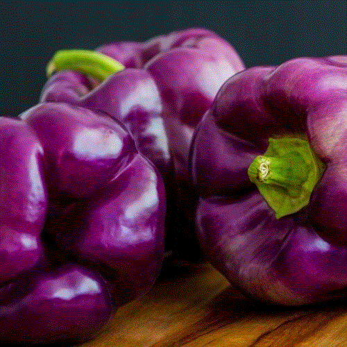 Legume - Ardei gras Loran violet , 0.3 g seminte