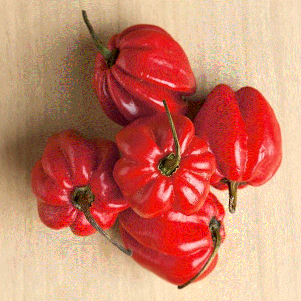 Legume - Ardei iute Habanero Rosu , 0.2g seminte