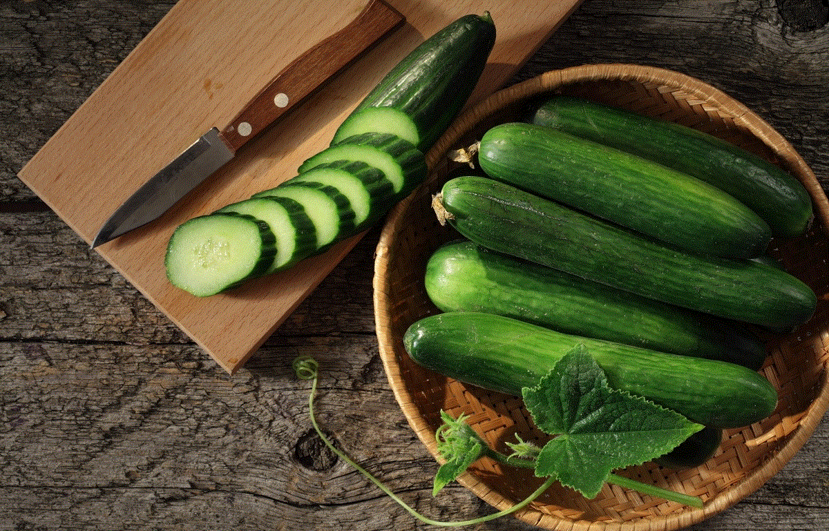 Fructe - Castravete hibrid Saladin F1 pentru sere , 1g seminte