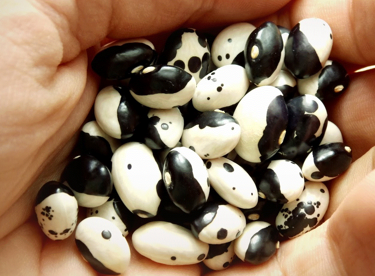 Legume - Fasole franțuzească Yin-Yang , 10g seminte