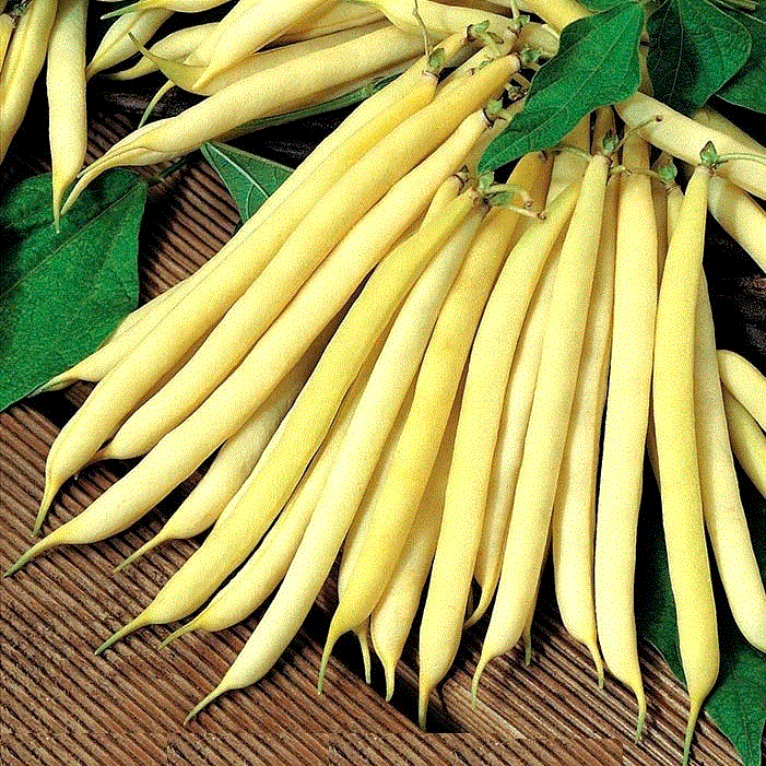 Fructe - Fasole Goldmari , 10g seminte