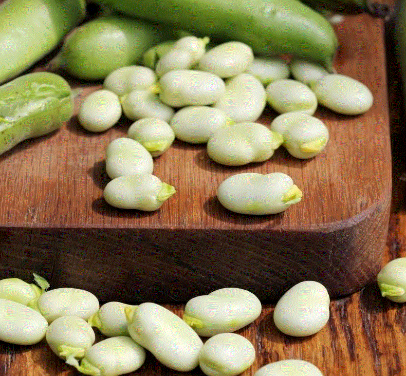 Legume - Fasole Hangdown alba , 50g seminte