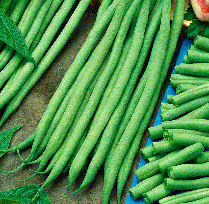 Legume - Fasolea franceză Bona , 30g seminte