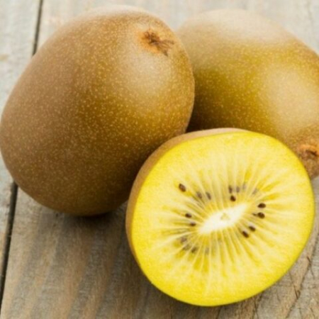 Mini Kiwi - Kiwi galben 5-10cm - Actinidia deliciosa Minkigold femela