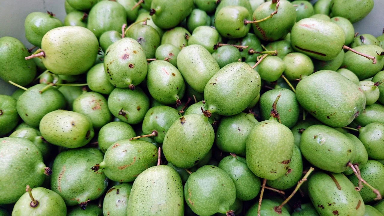 Mini Kiwi - Kiwi Kokuwa autofertil (Actinidia arguta) , minikiwi 2 ani