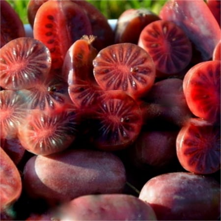 Copaci fructiferi - Kiwi rosu Purpurna Sadowa (Actinidia arguta) , minikiwi 2 ani