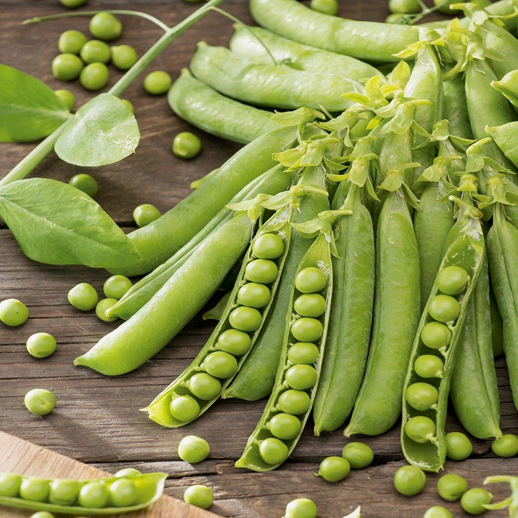 Legume - Mazare dulce Iłówiecki  , 50g seminte