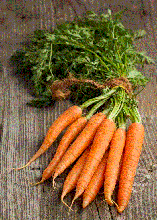 Legume - Morcov Flakkese 2 , 5g seminte