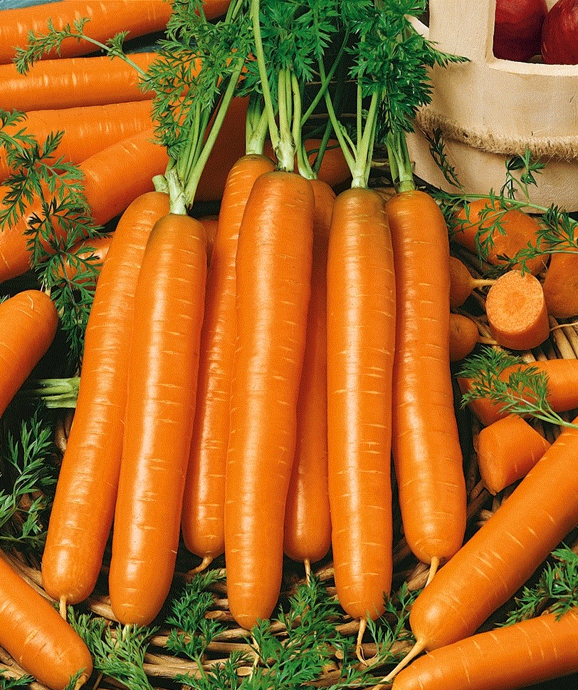 Legume - Morcov Naomi , 5g seminte