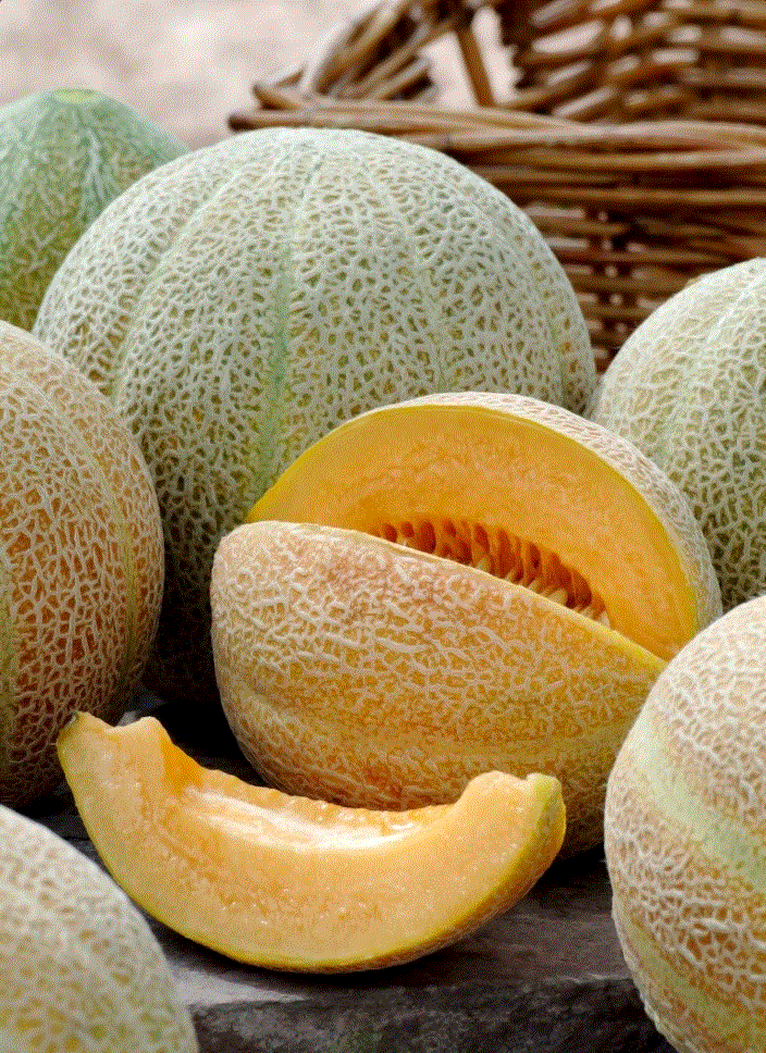 Legume - Pepene galben Jumbo , 1g seminte