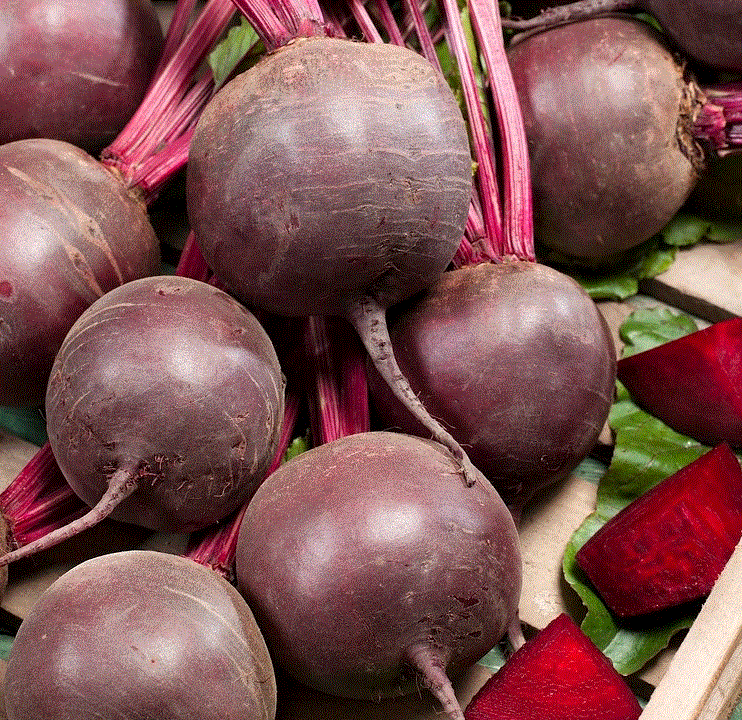 Legume - Sfecla Minge Rosie , 10 g seminte
