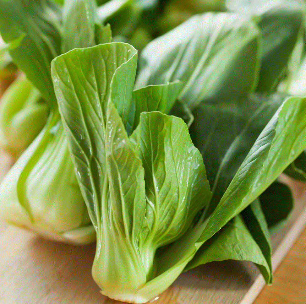 Legume - Varza chinezeasca Pak Choi , 1g seminte