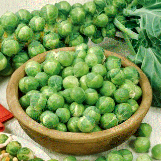 Legume - Varza de Bruxelles Casiopea , 1g seminte