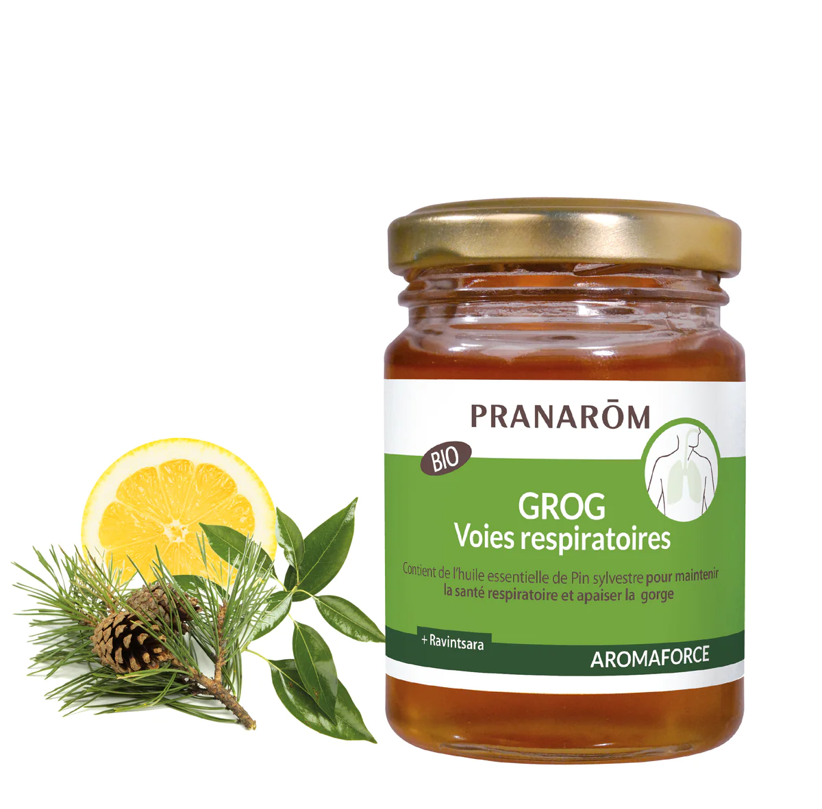 Grog căi respiratorii [1]