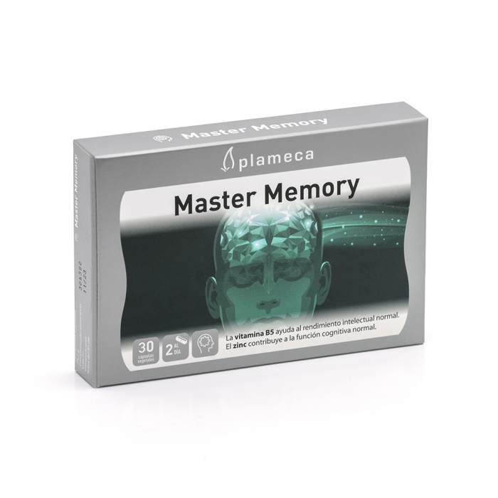 Master Memory [1]