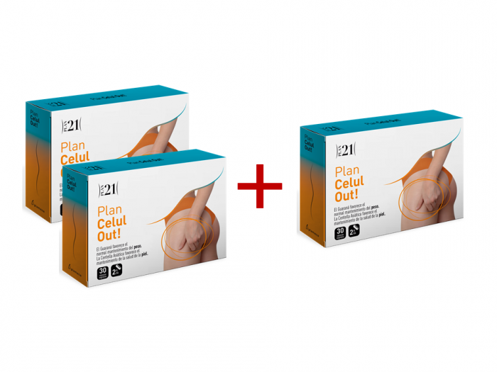 2+1   Plan Cellul Out! [1]