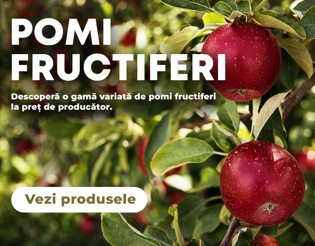 Pomi Fructiferi - Mobile