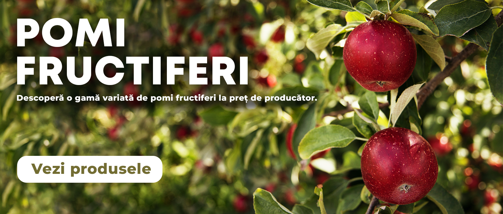 Banner Pomi Fructiferi - HomePage