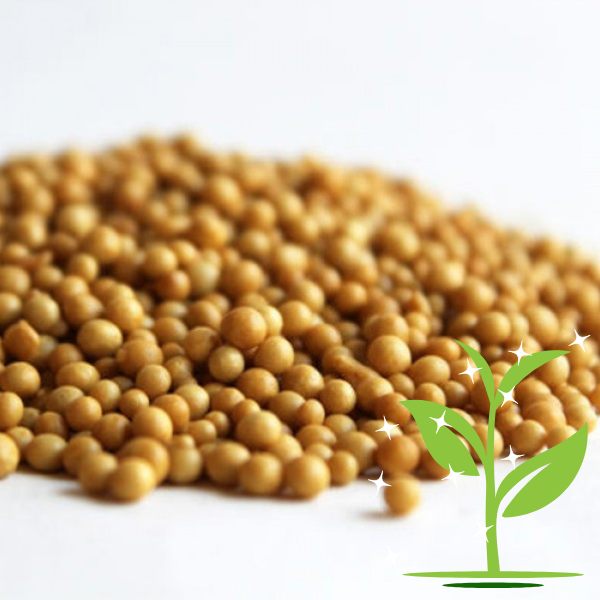 Ingrasamant - Ingrasamant pentru plante - 500g