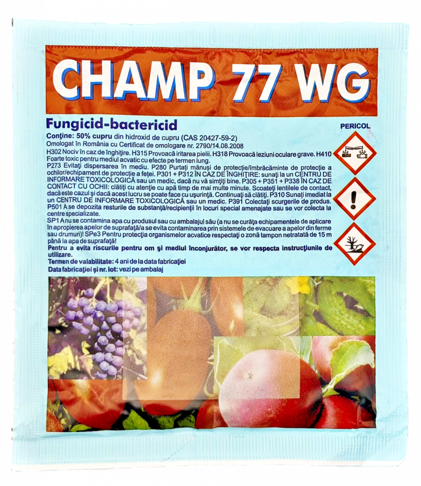 CHAMP 77 WG [1]