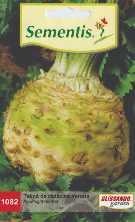 Telina de radacina Verona [1]