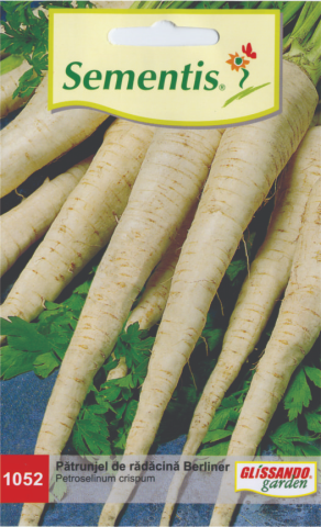 Semințe - Patrunjel Berliner (radacina)