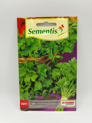 Semințe - Patrunjel Common (frunze)