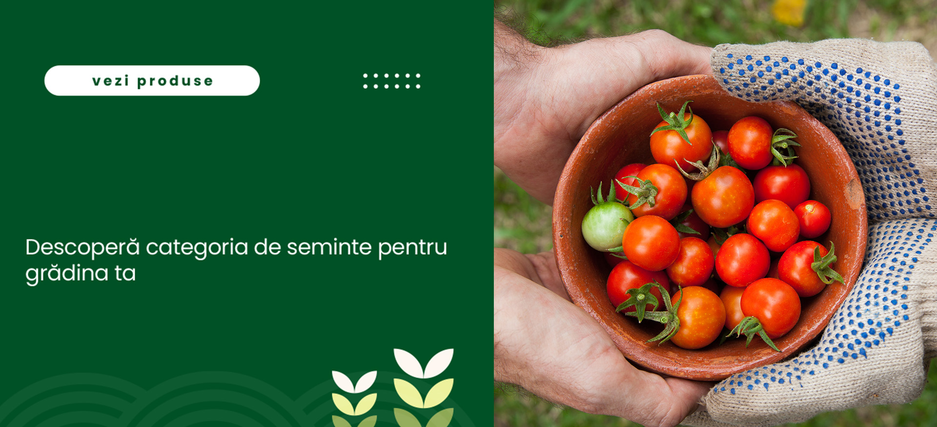 SEMINTE