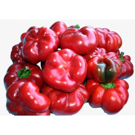 Legume - Ardei Gogosar Tudu 0.5 GR