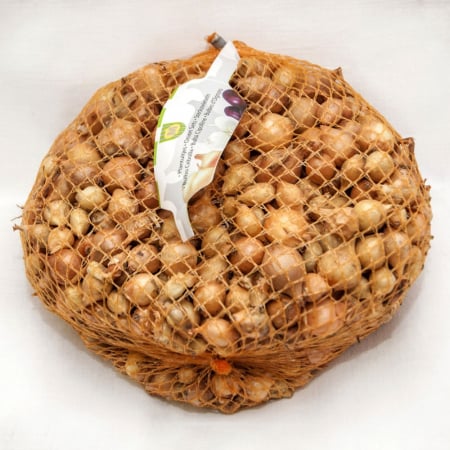 SEMINTE - Arpagic Stuttgar 1kg