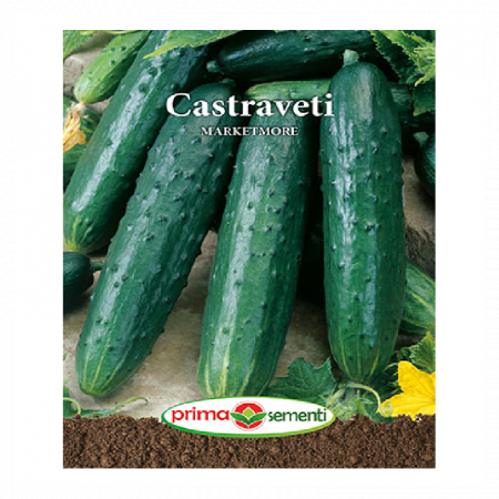 Legume - Castraveti Marketmore Sementis 2GR