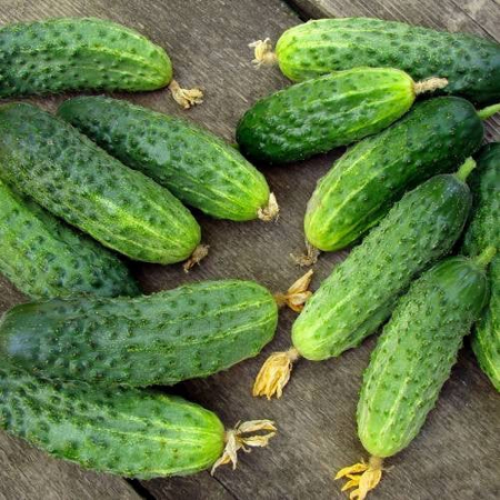 Legume - Castraveti Paris Smallgr. 1.5GR
