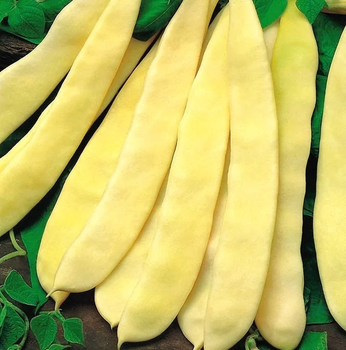 Legume - Fasole pitica lata Supernano 30GR