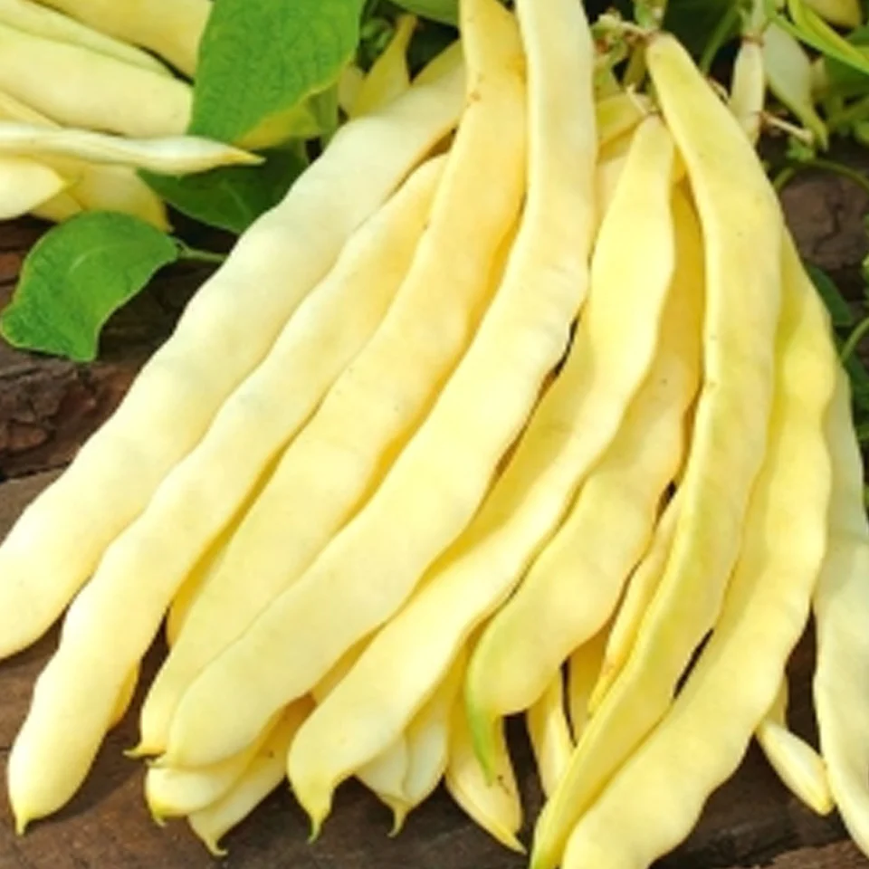 Legume - Fasle urcatoare Juliska 30G