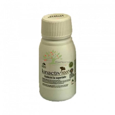 Biostimulatori - Kinactiv Root 40 ML
