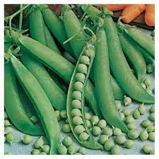 Legume - Mazare Kelvedon Wonder 100GR